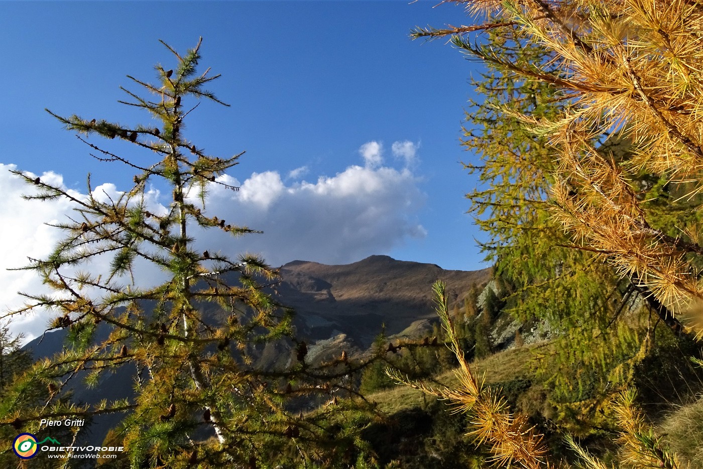 90 Scendo tra larici  dai caldi colori autunnali.JPG